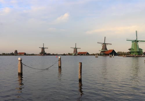 Zaanse Schans & Volendam: halvdagsutflykt